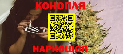 шишки Можайск