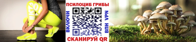 МЕГА   Ейск  Галлюциногенные грибы GOLDEN TEACHER 