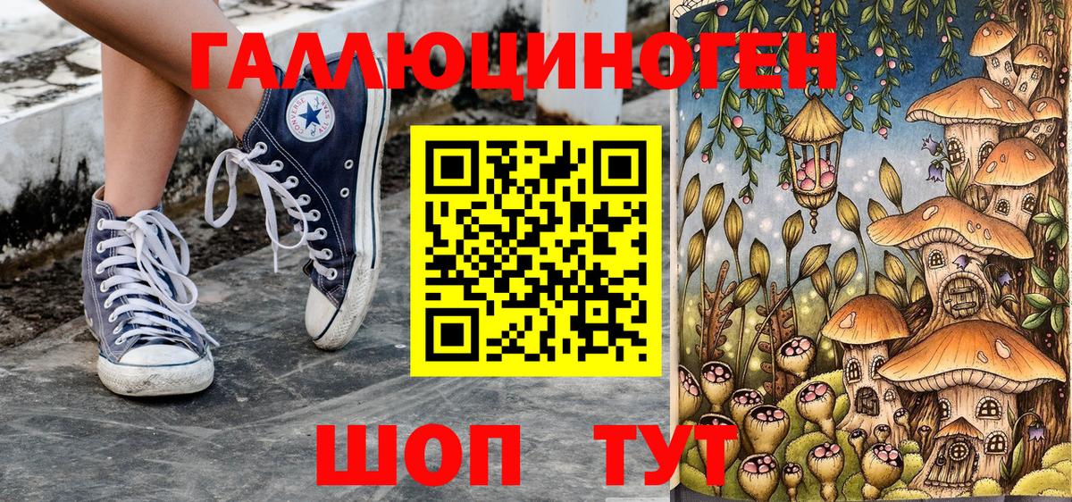 Псилоцибиновые грибы Cubensis  дарнет шоп  Ейск  Псилоцибиновые грибы MAGIC MUSHROOMS  Вход с VPN 